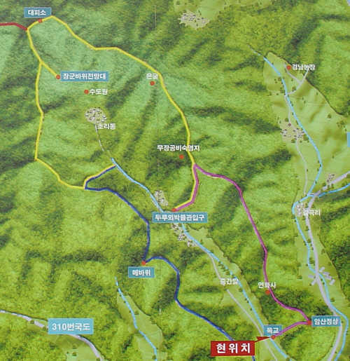 비학산4코스정상 이미지